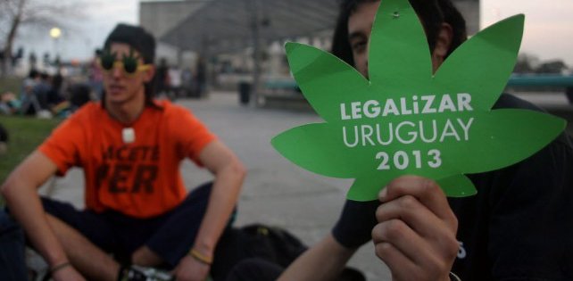 В Уругвае легализовали марихуану