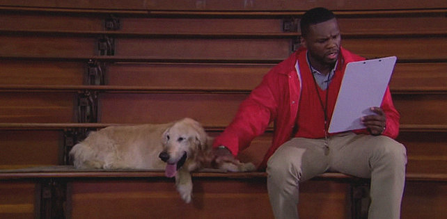 50 Cent показал фильм про собаку, которая стала тренером баскетбольной команды