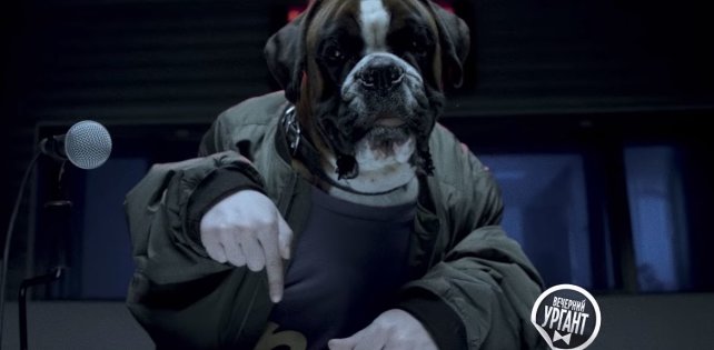 Джарахов, Витя АК, Ургант, SQWOZ BAB и Слава КПСС записали дисс на Волочкову от имени псов