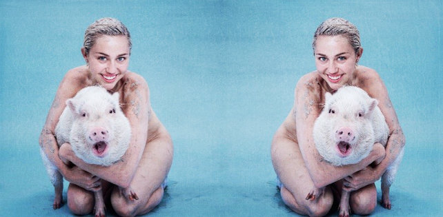 Голая Майли Сайрус в обнимку со свиньей на обложке Paper