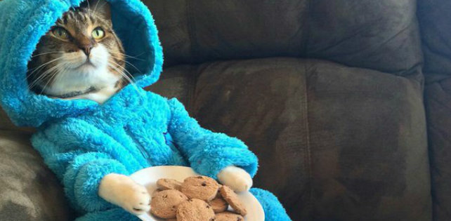 Тест: угадайте рэпера по цитате из песни