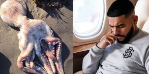 «Всё усыпано трупами»: Тимати, Баста, Дудь и другие объединяются против катастрофы на Камчатке