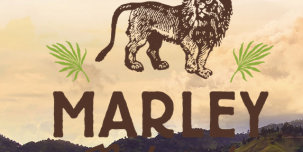 Боб Марли станет лицом первого международного бренда марихуаны