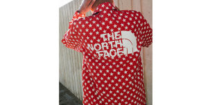 Бренды Supreme и The North Face выпустили совместную коллекцию