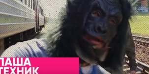 ​Паша Техник в гостях на шоу Big Russian Boss